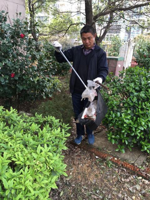 控制鼠害、預防疾病，構(gòu)建和諧文明社區(qū)